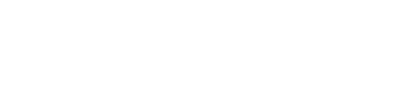 Skymedic logo